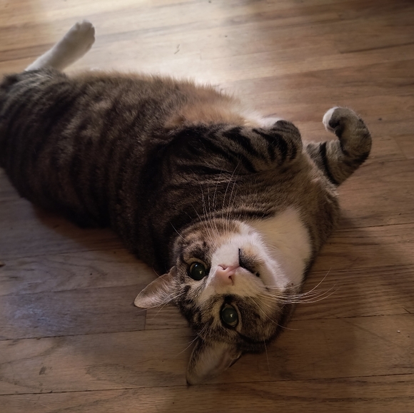 Meet your Posher, Kim - Picture 9 of 9